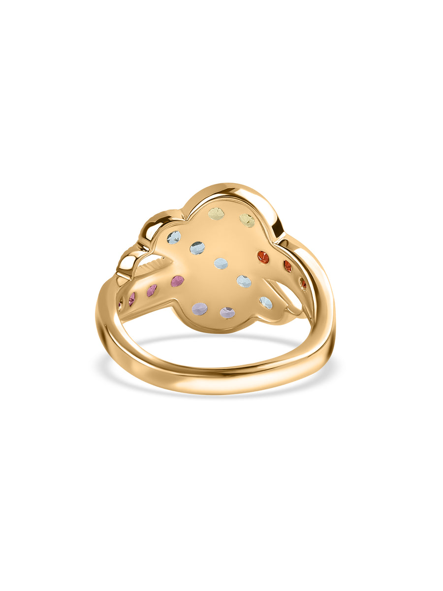 Radiant Spectrum Multi-Gemstone Silver Ring
